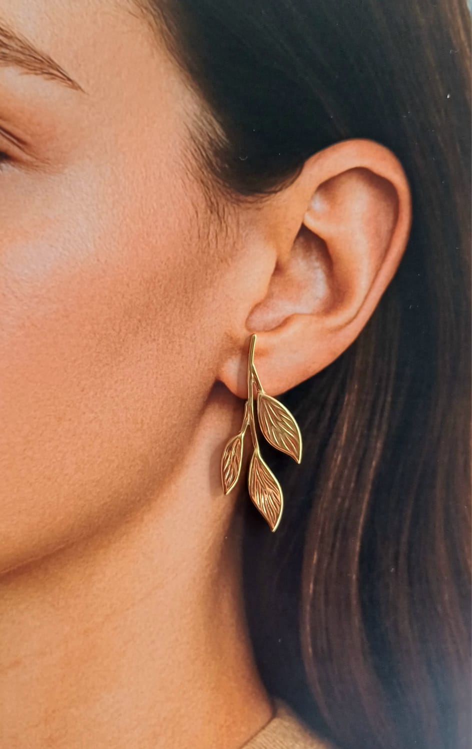 ARETES OLIVO